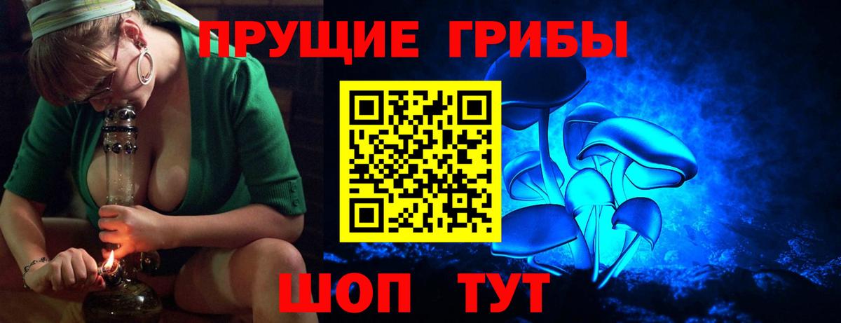Галлюциногенные грибы GOLDEN TEACHER  что такое   Киселёвск  Вход с VPN  Псилоцибиновые грибы Psilocybe 